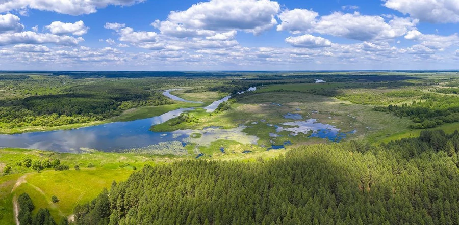 воронинский заповедник
